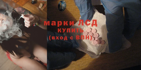 шишки Аркадак
