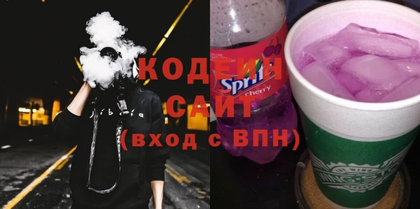 шишки Аркадак