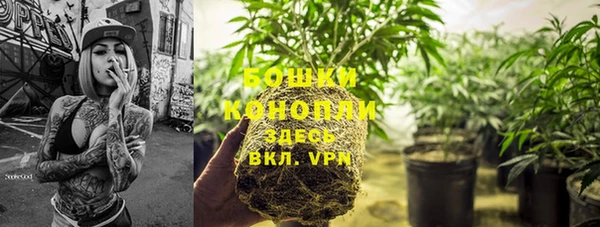 шишки Аркадак